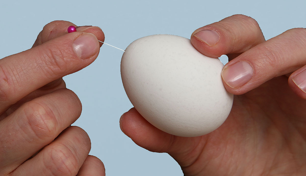 3 manières de nettoyer les coquilles d'œufs - wikiHow